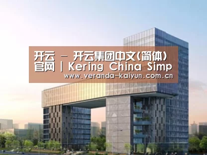 案例展示四