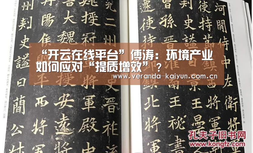 “开云在线平台”傅涛:环境产业如何应对“提质增效”?(图2) 开云官方入口