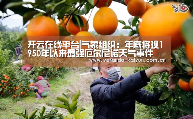 开云官方入口