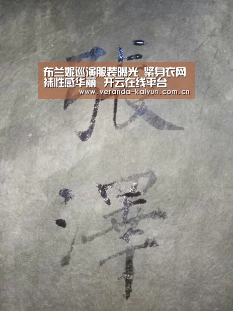 布兰妮巡演服装曝光 紧身衣网袜性感华丽-开云在线平台(图1) 开云网页版