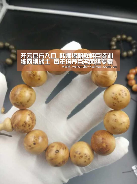 开云网页版