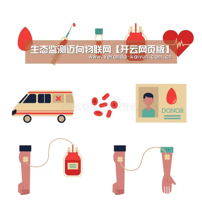 开云官方入口