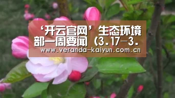 开云官网