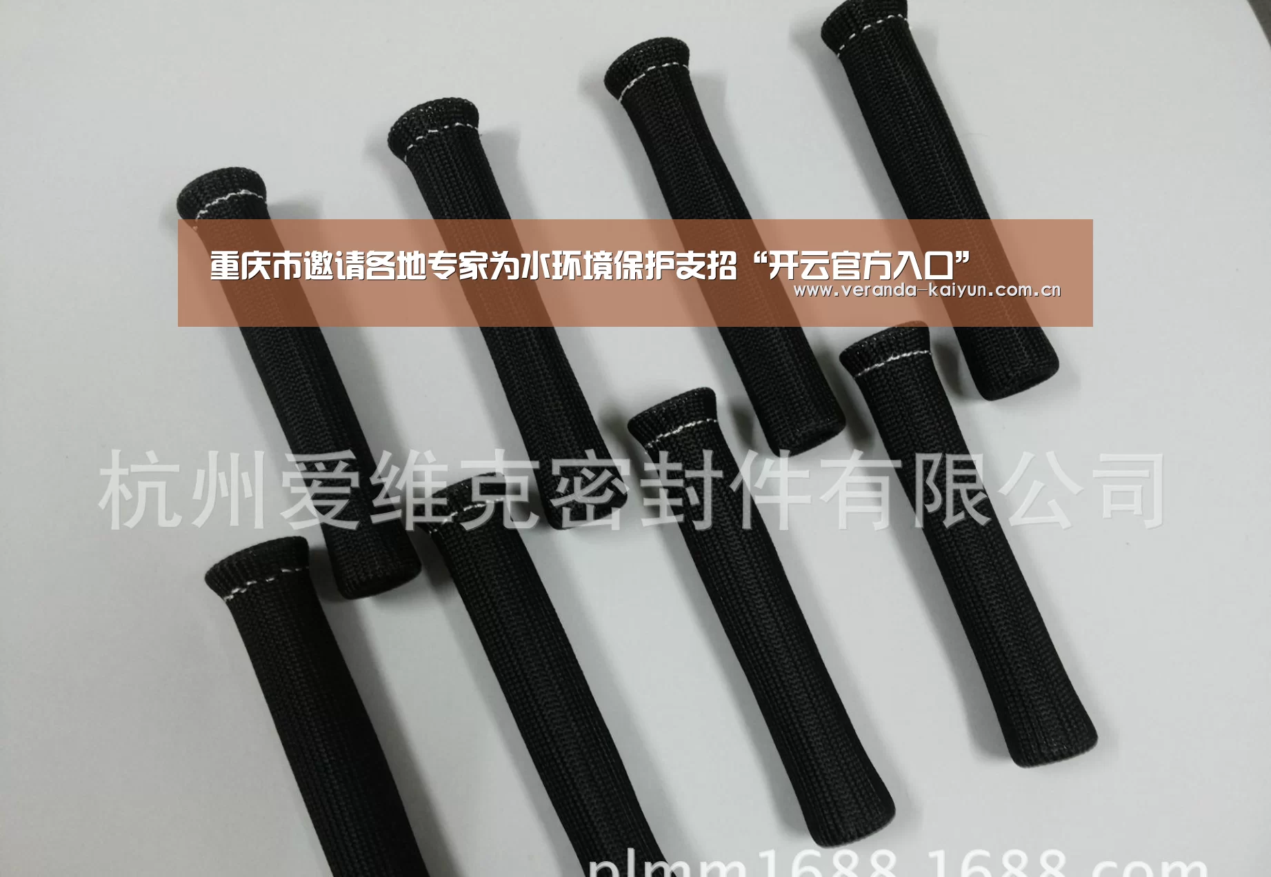 重庆市邀请各地专家为水环境保护支招“开云官方入口”(图1) 开云官网