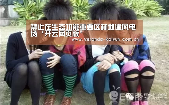 开云网页版