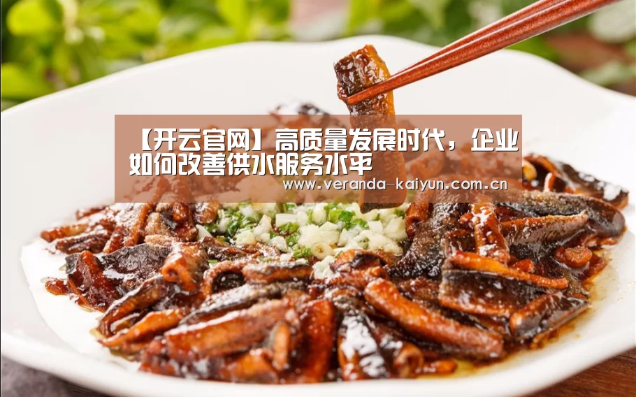 【开云官网】高质量发展时代,企业如何改善供水服务水平(图1) 开云官网