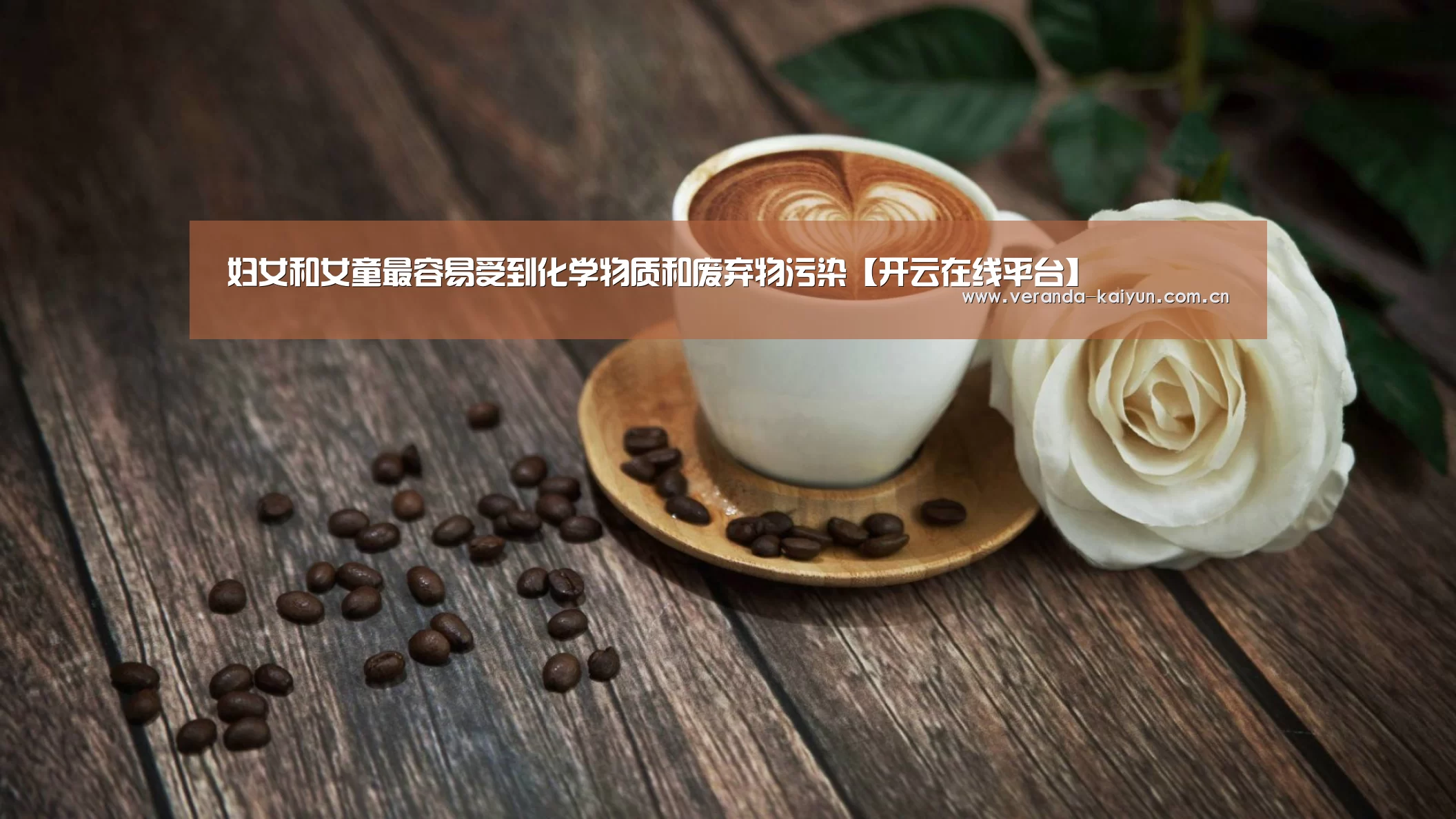 妇女和女童最容易受到化学物质和废弃物污染【开云在线平台】(图1) 开云官方入口